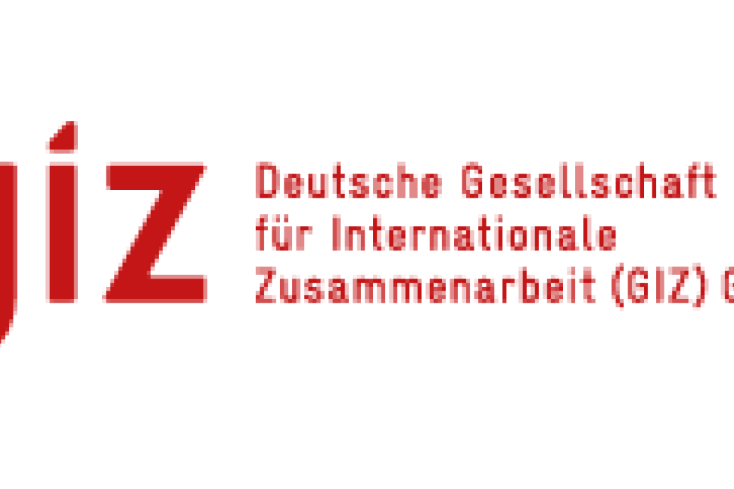 logotipo giz