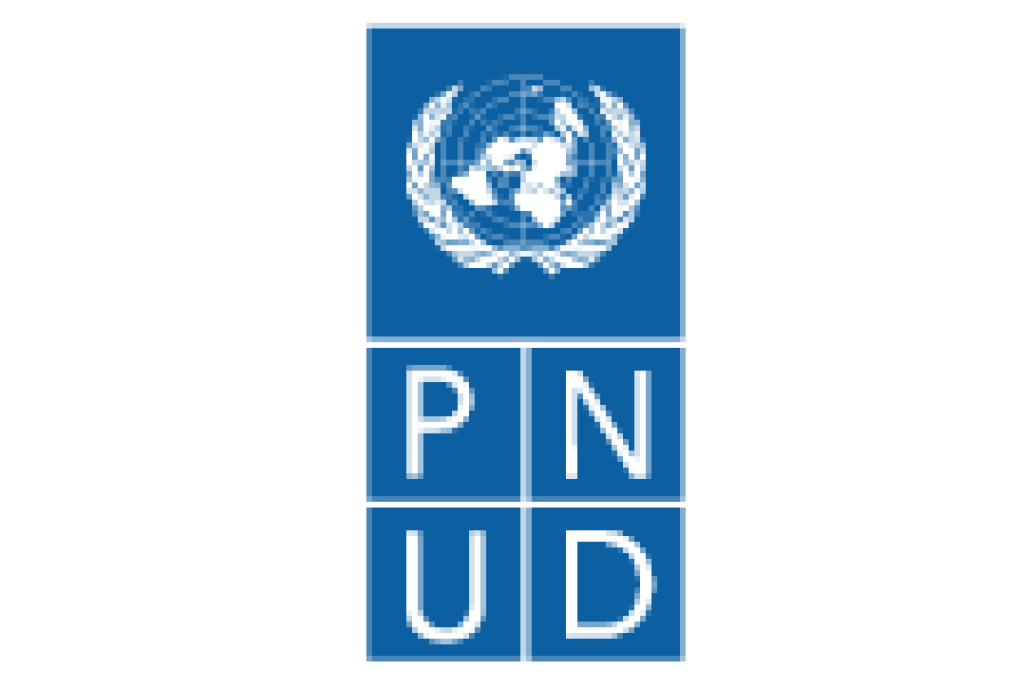 Logotipo pnud